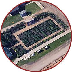Grow a vegetalbe garden in Fort Edmonton Park Peony Garden
